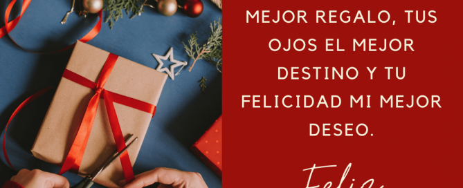 Feliz Navidad 2020 MaJu Studios Manizales Merry Christmas