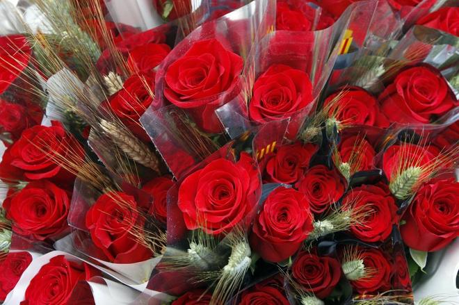Rosas rojas dia de la mujer en Maju Studios