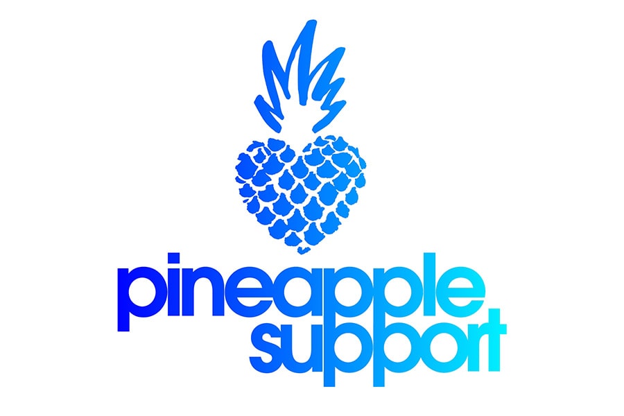 Pineapple Support - Convenios MaJu Studios