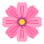 icono pink-rose