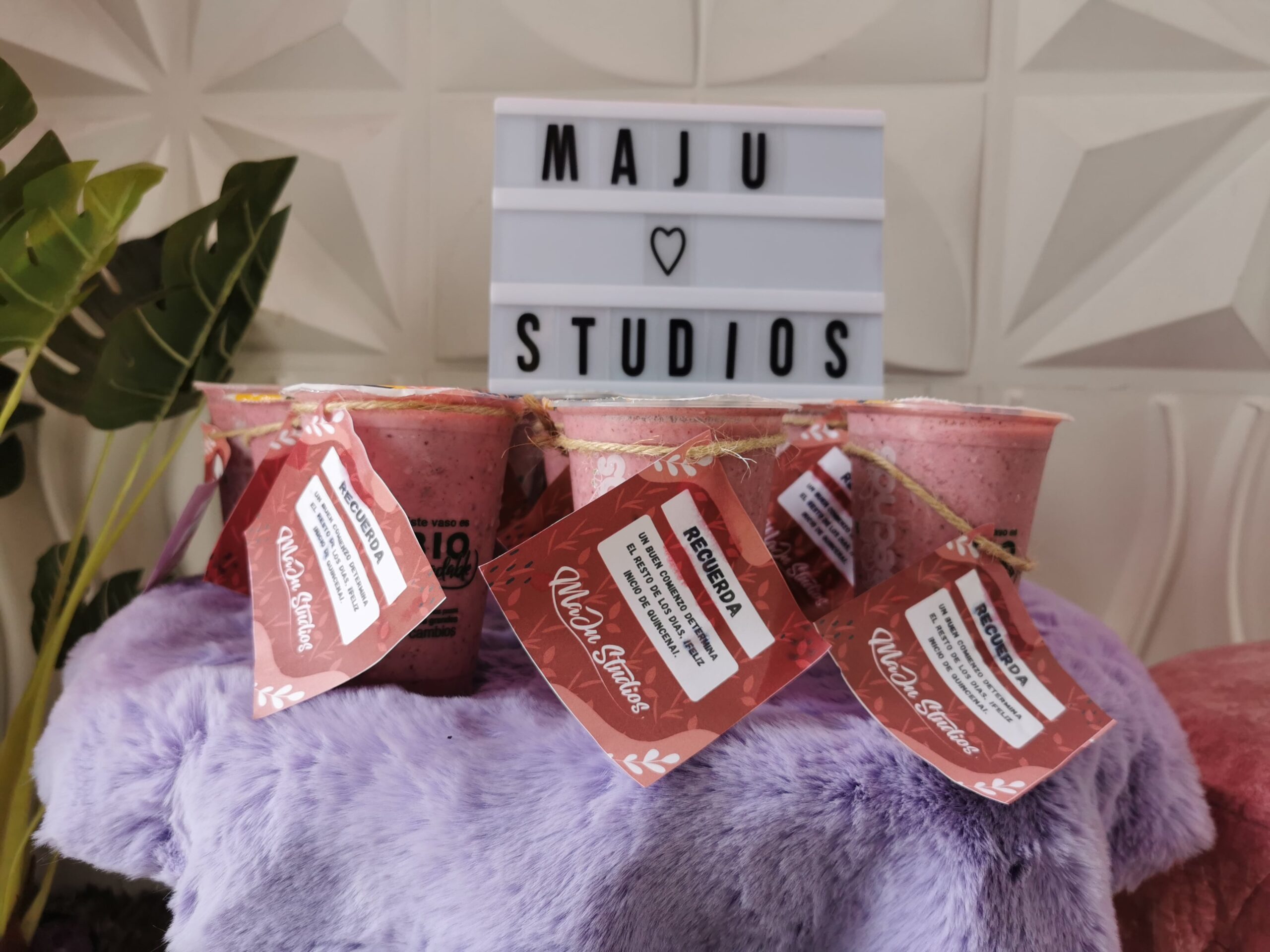 Batidos colibrí morado o frutos rojos MaJu Studios Manizales
