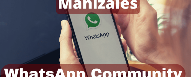 WhatsApp Community Manager - MaJu Studios